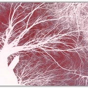 Untitled-1_card