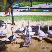 Geese_in_the_park-b_2-20-11_card