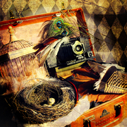 Birdetsy_card