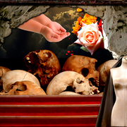 Lifeanddead_card