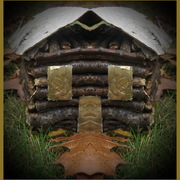 Img_1504_face_in_door_of_log_cabin_card