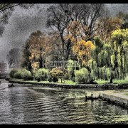 2011-02-25_141636_card