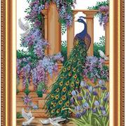 B2432800_card