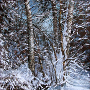 Winter_afternoon_card