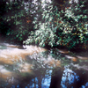 Taste_of_river_thumb