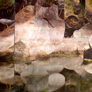 Fishing_card