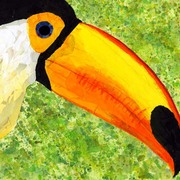 Toucan_card
