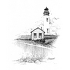 Piegonpoint_thumb