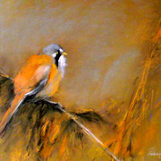 2011_m_rcius_1_013_card