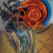 Rosa_mecÁnica_card
