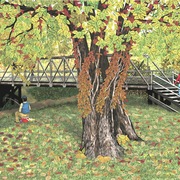 Old_walk_bridge_card