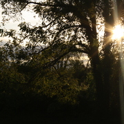Img_0227_card