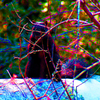 Img_4100ab_thumb