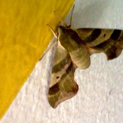 07232009024_card