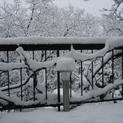 2011-winter_card