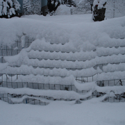 2011-_snow_card
