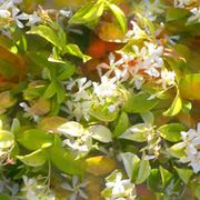 2008-05-31-100_1069_3_card