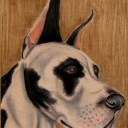 Dane1_card