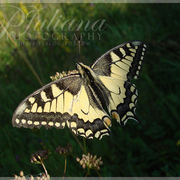 000152_card