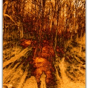 Untitled-2_card