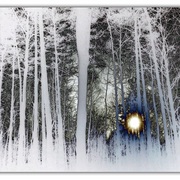 Untitled-1_card