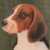Beagle16x20a_thumb