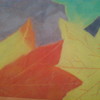Leaves_thumb