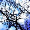 Sky_thumb
