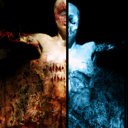 Duality_card