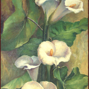 97-calas2_card