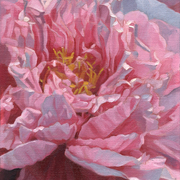 Pink_peony_card