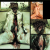 Master_of_puppets_thumb
