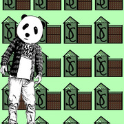 Panda_expresws_card