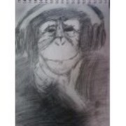 5_card