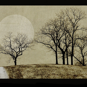 Greene_s_hill_card
