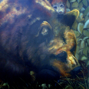 Bear_card