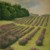 204-paisaje_provenza_tiny_square