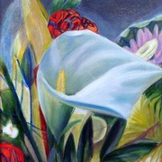 2005_zwetiki_50_40_card
