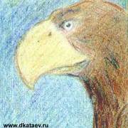 Head-of-griffin_card