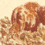 Bison_card