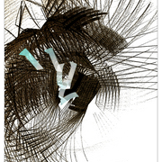 A3_card