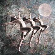 Moondancers3_web_card