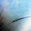 081220102464_thumb