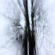 Img_1184_card
