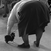 At_the_dog_show_card