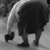 At_the_dog_show_thumb