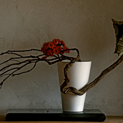 Ikebana-050a_card
