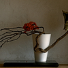 Ikebana-050a_thumb