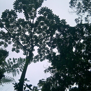 2010-04-17_13