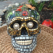 Dscf0003_card